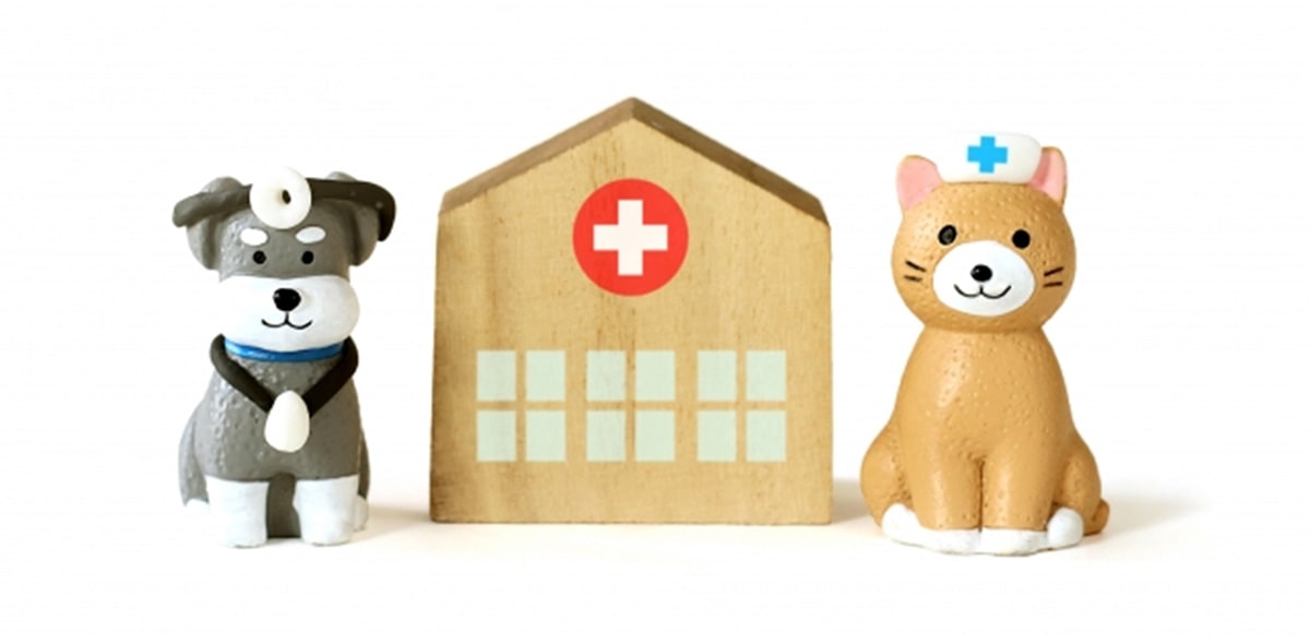 犬と猫が病院の横に座っているイメージ