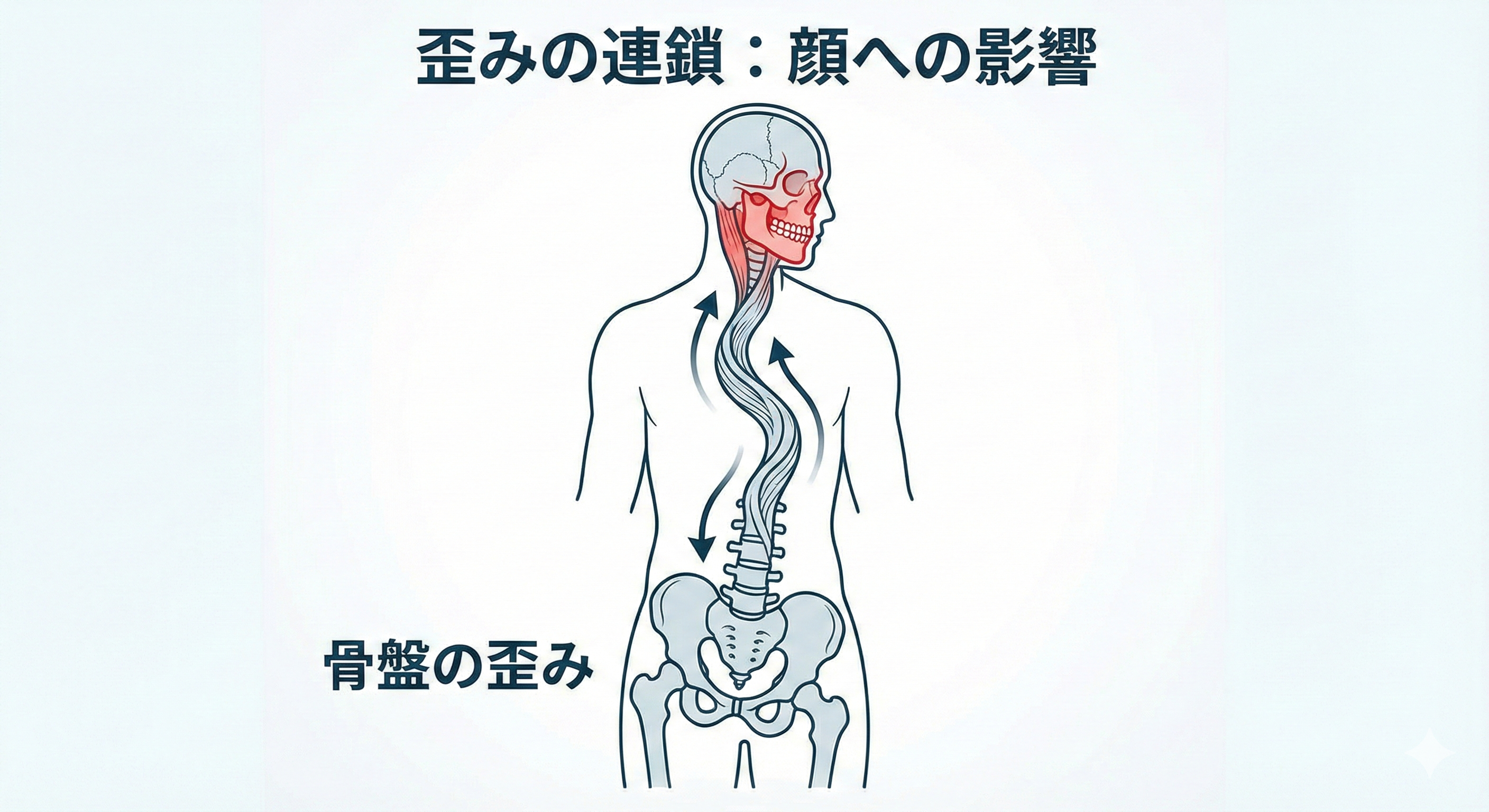 身体の歪みが顔に影響するイメージ