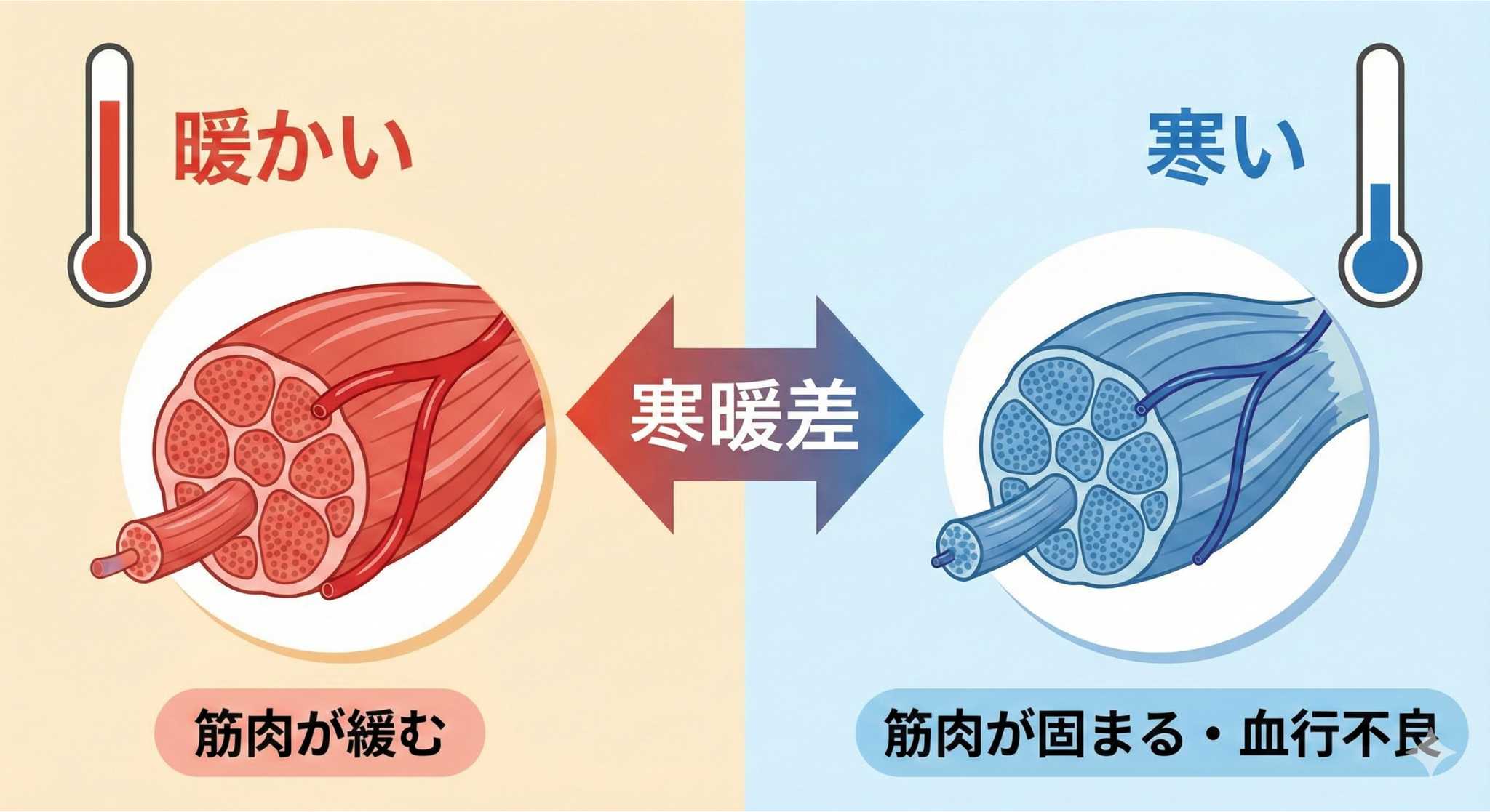寒暖差で筋肉が固まっているイメージ