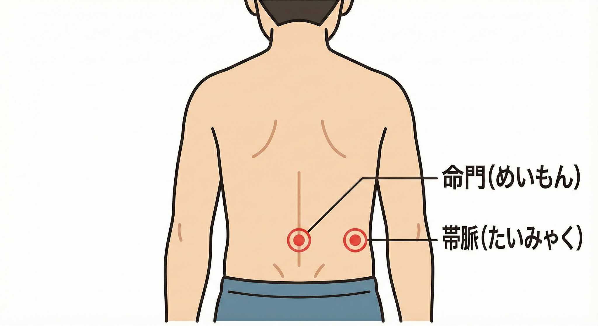 腰のツボ（命門・帯脈）のイメージ