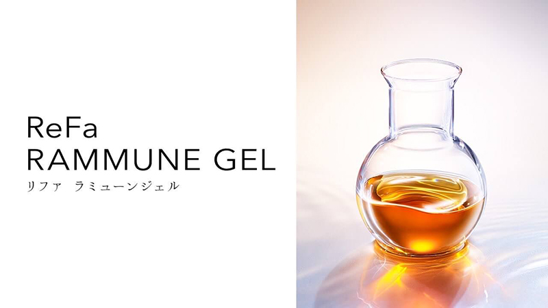 埼玉県蕨駅近くの整体院ワラビー整体院の料金・コース