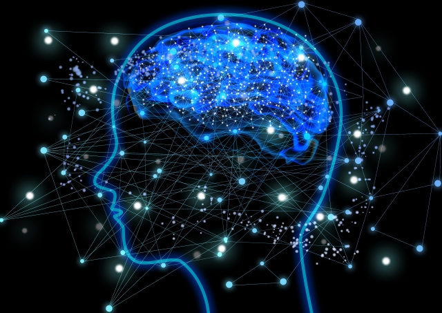 脳神経のイメージ